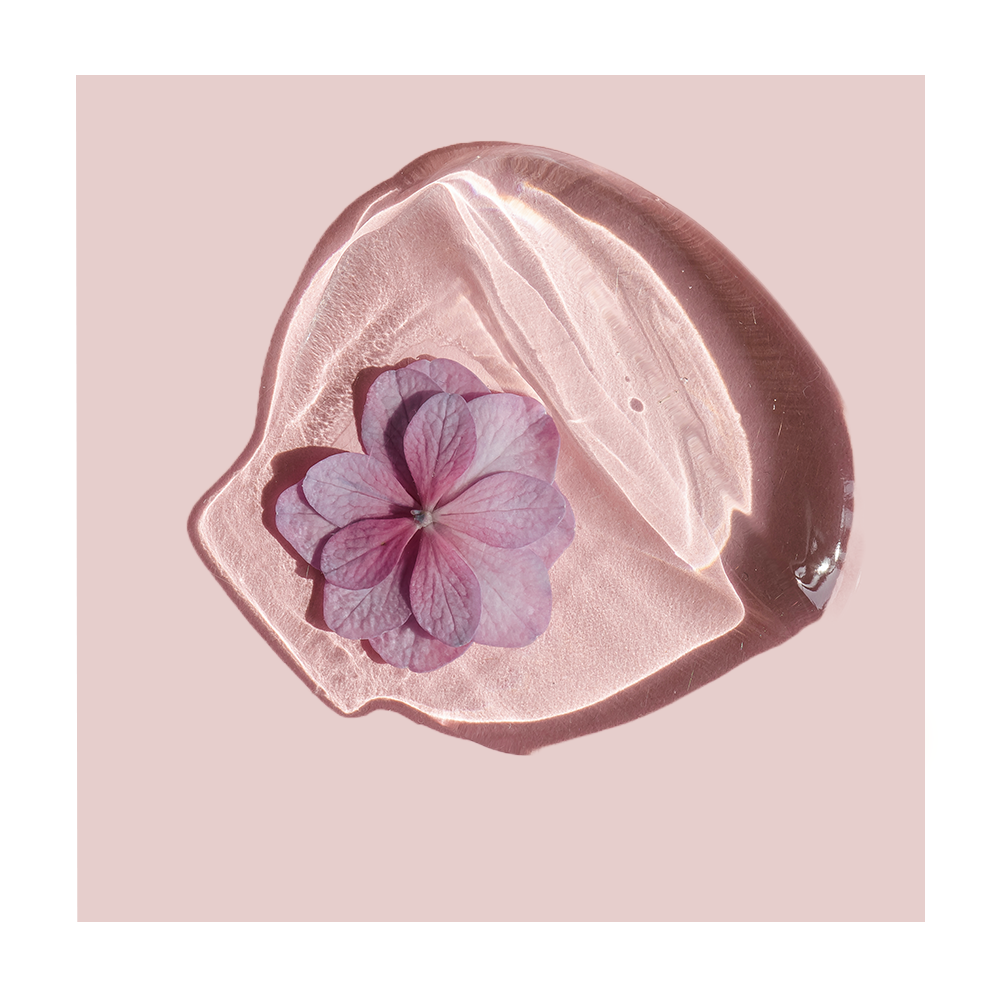 Sweet Violet Extract – Boofootel