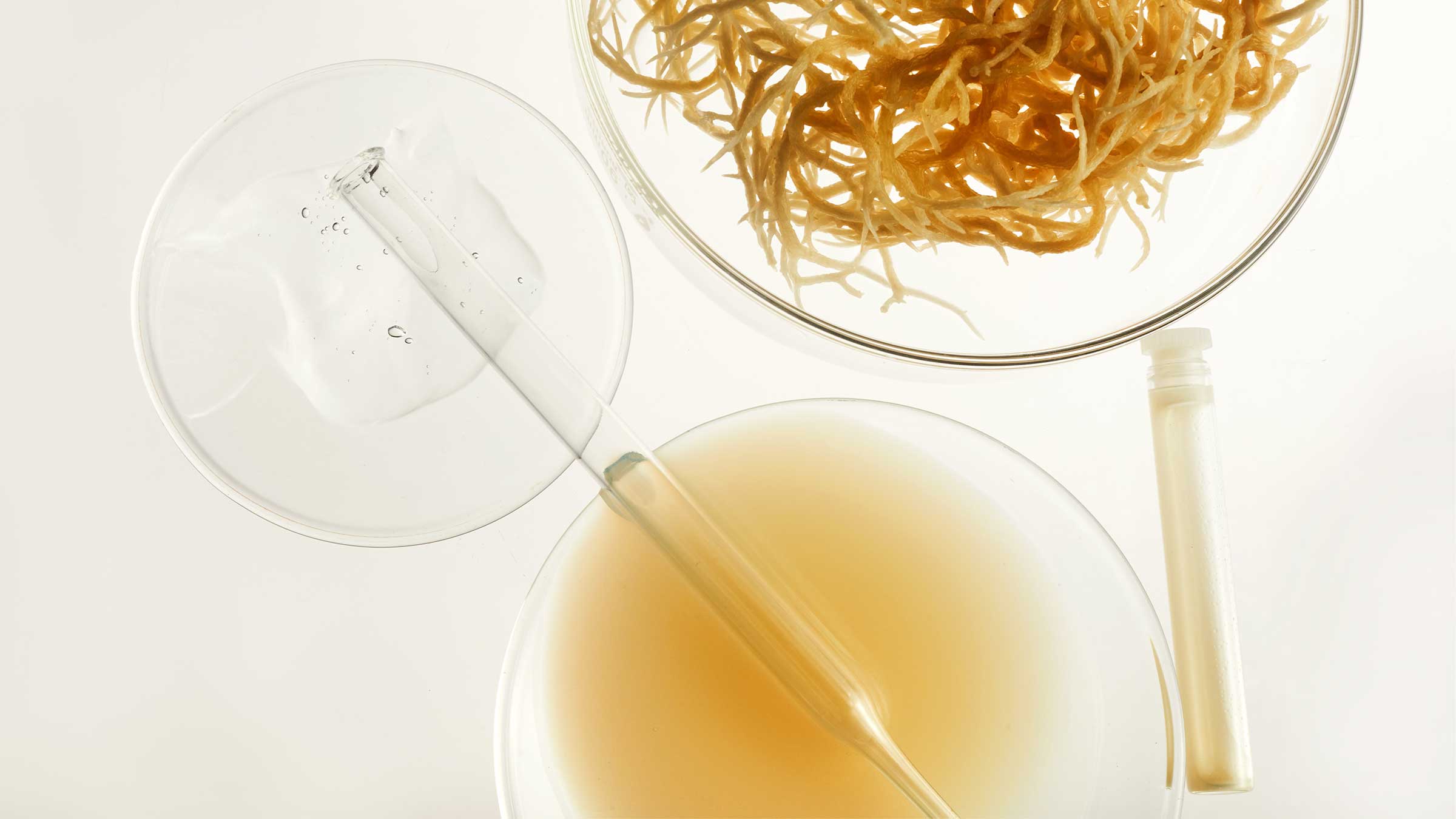 Boofootel has vitamin c, peptides, bakuchiol and hyaluronic acid. 